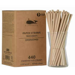 Standard Size Paper Straws- True Kraft, Unwrapped