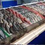 how to choose the best fresh fish