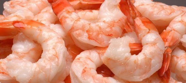 cook with shrimp the low carb way