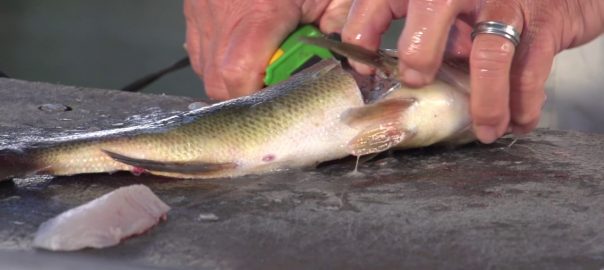 how to clean fresh fish