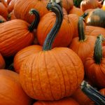 low carb pumpkin recipes