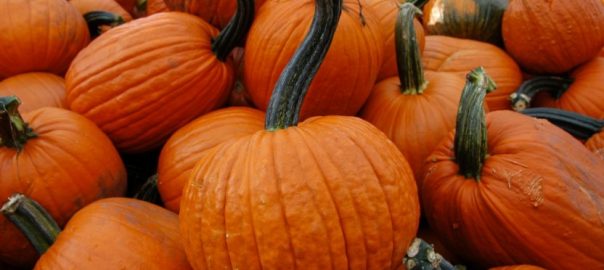 low carb pumpkin recipes