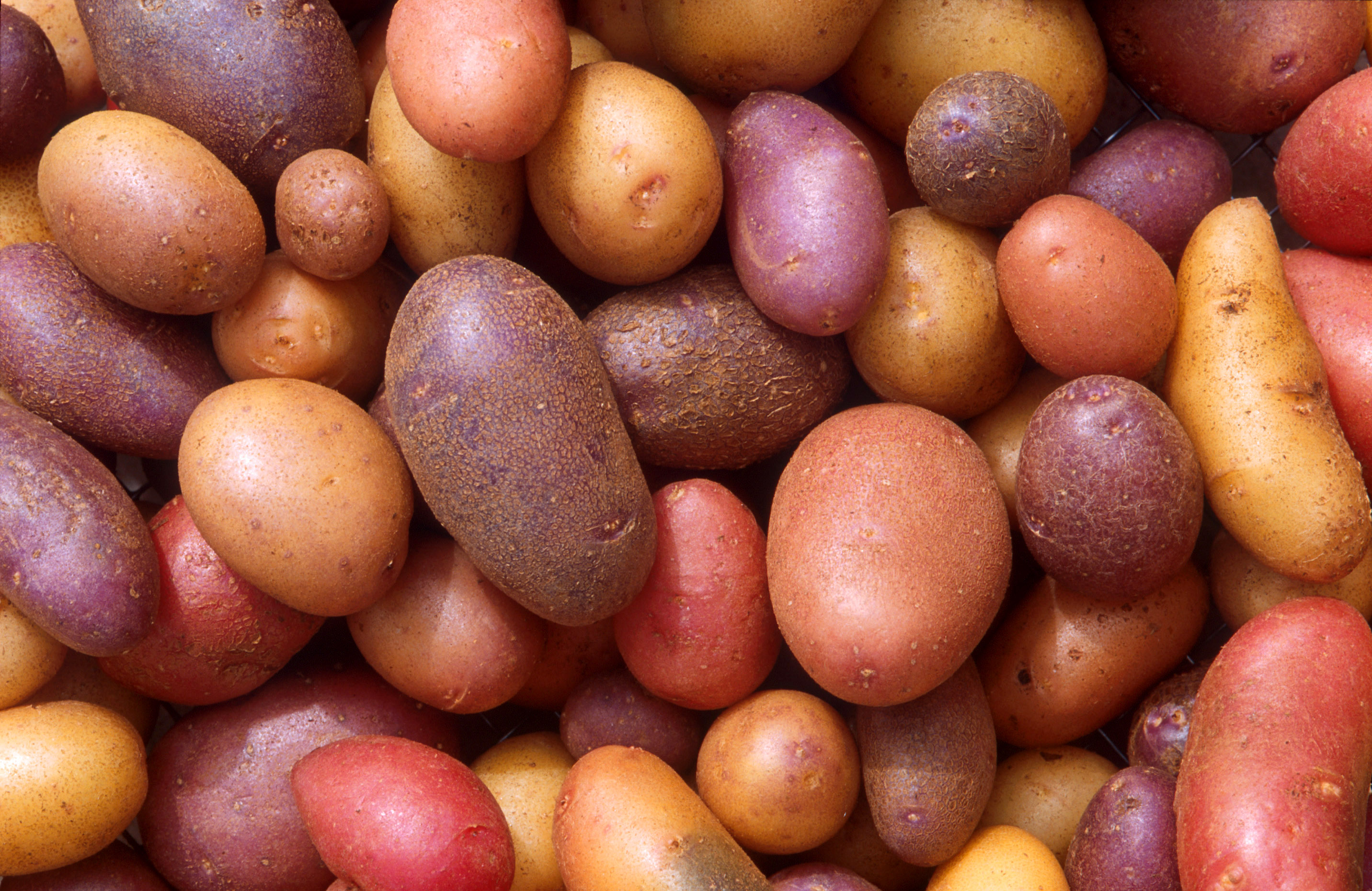Replacing Potatoes - Low Carb Alternatives