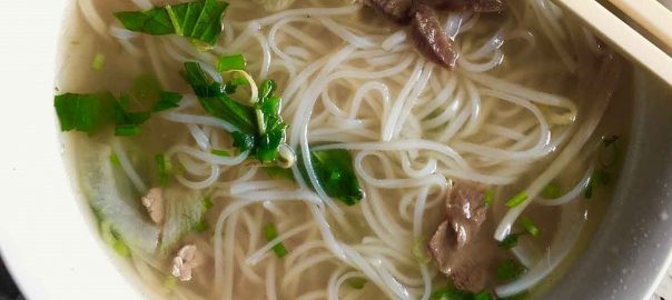 delicious pho noodles - miracle noodles