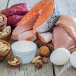 low carb foods that are high in protein